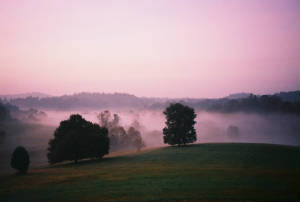 fallkymorn-1.jpg