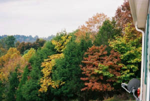 kyfall-1.jpg