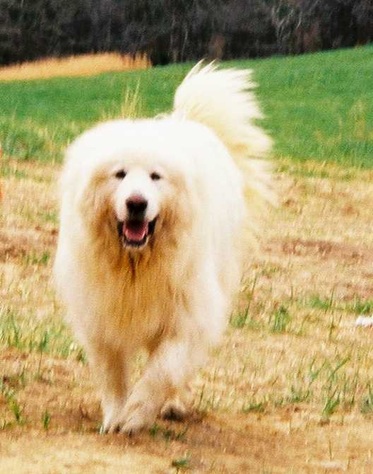 mslola.jpg